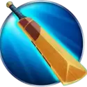 icon 5