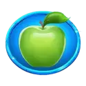 icon 5