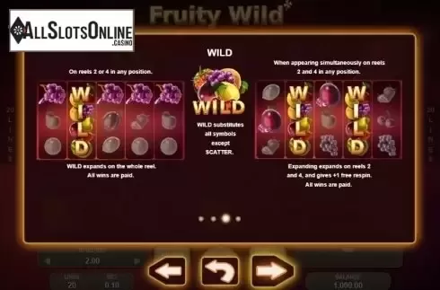 Paytable 3. Fruity Wild from Booongo