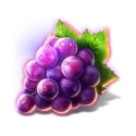 icon 4