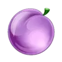 icon 5