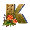 icon 10