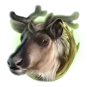 icon 4