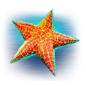 icon 4
