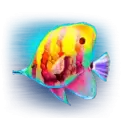 icon 5