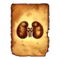 symbol 9