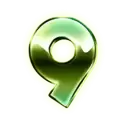 icon 13