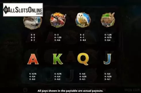 Paytable screen