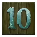 icon 10