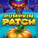 Pumpkin Patch