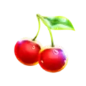 icon 10