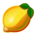 icon 7