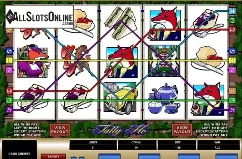 Screen5. Tally Ho from Microgaming