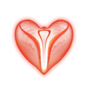 icon 7