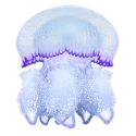 icon 4
