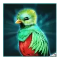 icon 4