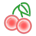 icon 9