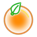 icon 6