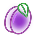 icon 10