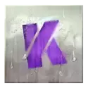 icon 10