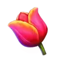 icon 4