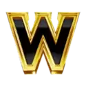 icon 10