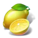 icon 4