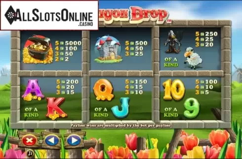 Paytable 2. Dragon Drop from NextGen