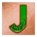 icon 8