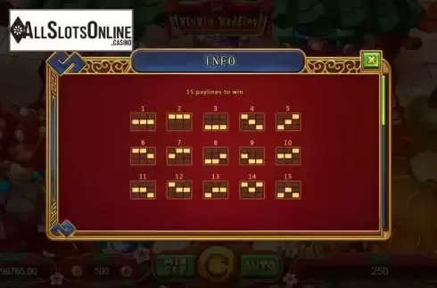 Paylines screen