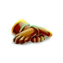 icon 5