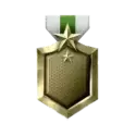 icon 10