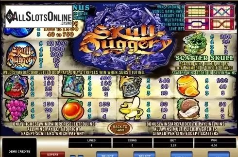 Screen2. Skull Duggery from Microgaming