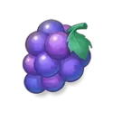 icon 5