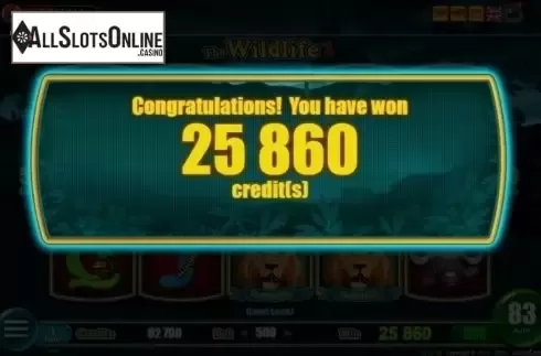 Free Spins Win. The Wildlife 2 from Belatra Games