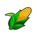 icon 6