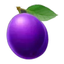 icon 10