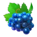 icon 5