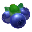icon 9