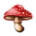icon 6
