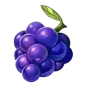 icon 5