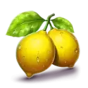 icon 4