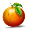 icon 3