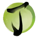 icon 9