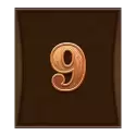 icon 10