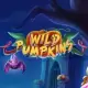 Wild Pumpkins