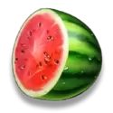 icon 4