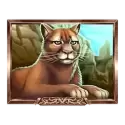 icon 5