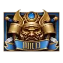 icon 9