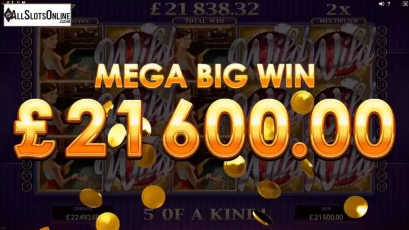 Mega Big Win. Life of Riches from Microgaming